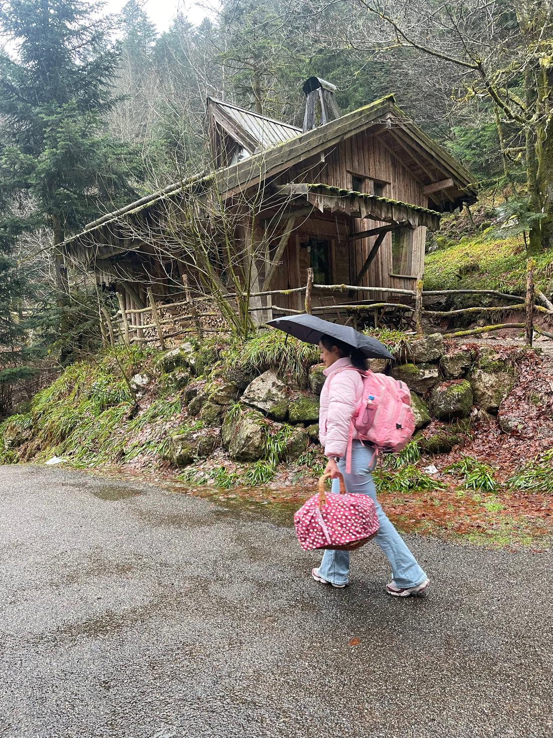 Week end dans les Vosges